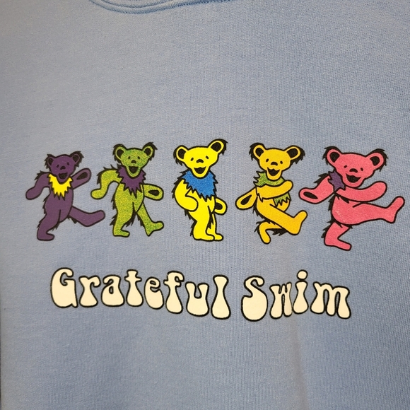 Greatful Dread bears Swim colorful bears sweater hoodie unisex - Picture 3 of 6